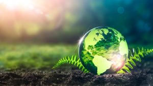 Câu đố về ngày trái đất trên google