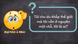 Những câu đố siêu hack não - Việt Nam Quiz